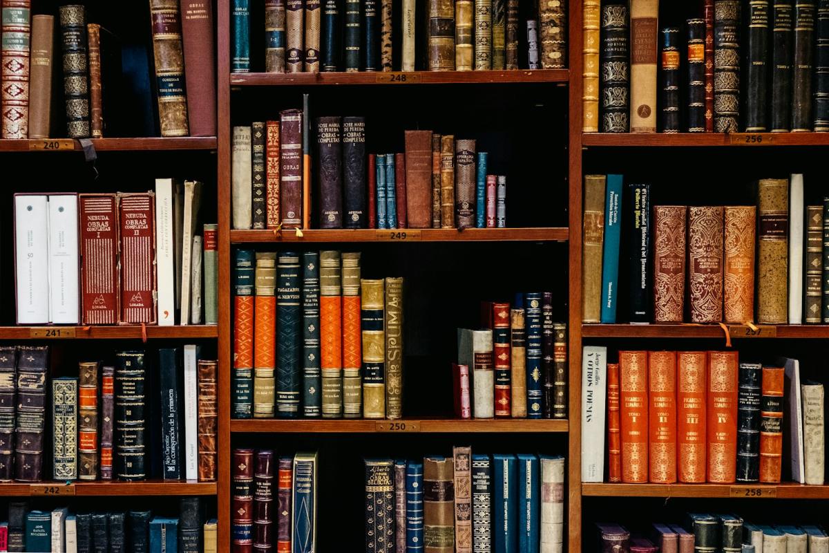 A library with a queue at issuing time